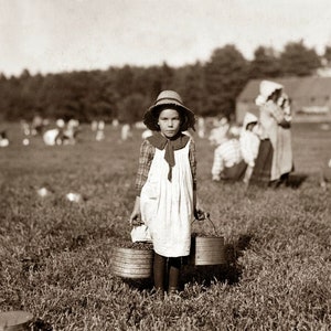 Cranberry Bog Photograph: 1911 Young Girl, Massachusetts Art Print 8.5" x 11"