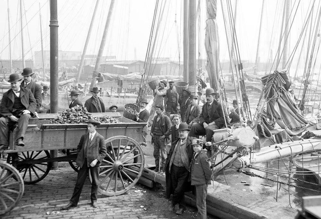 1905 Hauling Oysters, Baltimore, Maryland Old Photo 13 X 19 Art Print