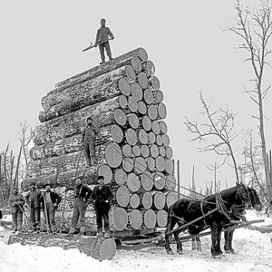 1890's Logging Huge Load of Logs Vintage Old Retro Photograph  INSTANT Download - - Historic Scene --