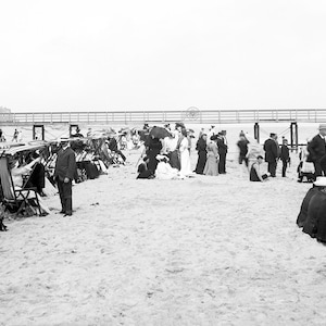 00-1910 Palm Beach, Florida Vintage Photograph Instant Download - - Historic Scene --