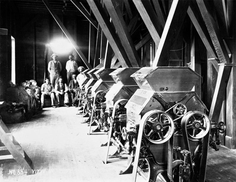 1890 Flour Mills Olive Flour Mill CA Vintage Photograph Etsy