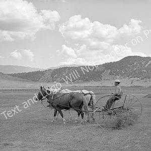 May include: A black and white photo of a man in a hat driving a horse-drawn rake across a field. The man is sitting on the rake, and the horses are pulling it. The field is surrounded by mountains in the distance.