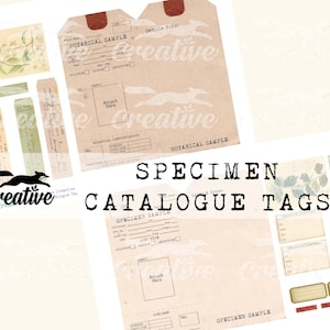 Etichette per CATALOGO DI CAMPIONI BOTANICI, Etichette botaniche a strati, Kit di diario digitale, Effimere per album di ritagli stampabili DIGI22 13,