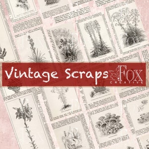 RITAGLIO VINTAGE - Digitali vintage 1885, Pezzi di collage per journaling, Effimeri per scrapbooking, Kit digitale DIGI20 39