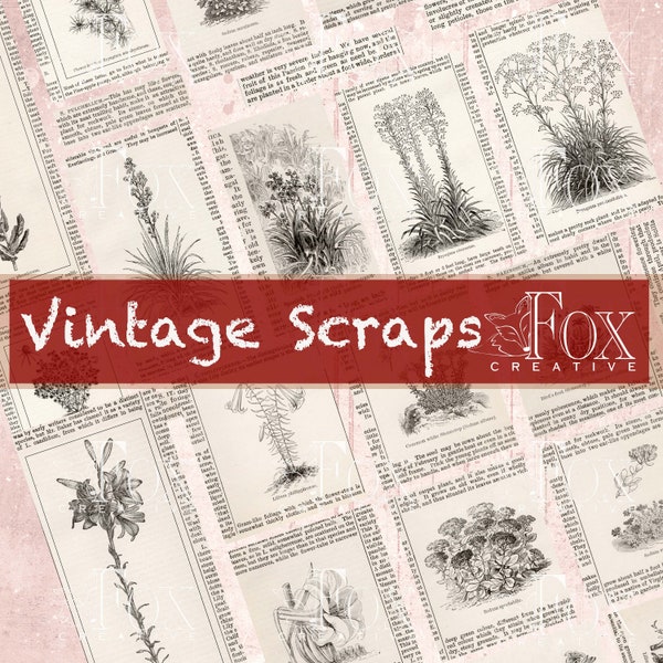 Vintage Scraps - 1885, Collage Pieces, Digital kit DIGI20 39