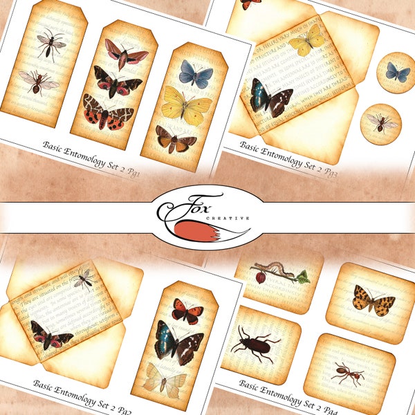Insect Digital Ephemera Journal Kit.  Basic Entomology Set 2 DIGI18 38
