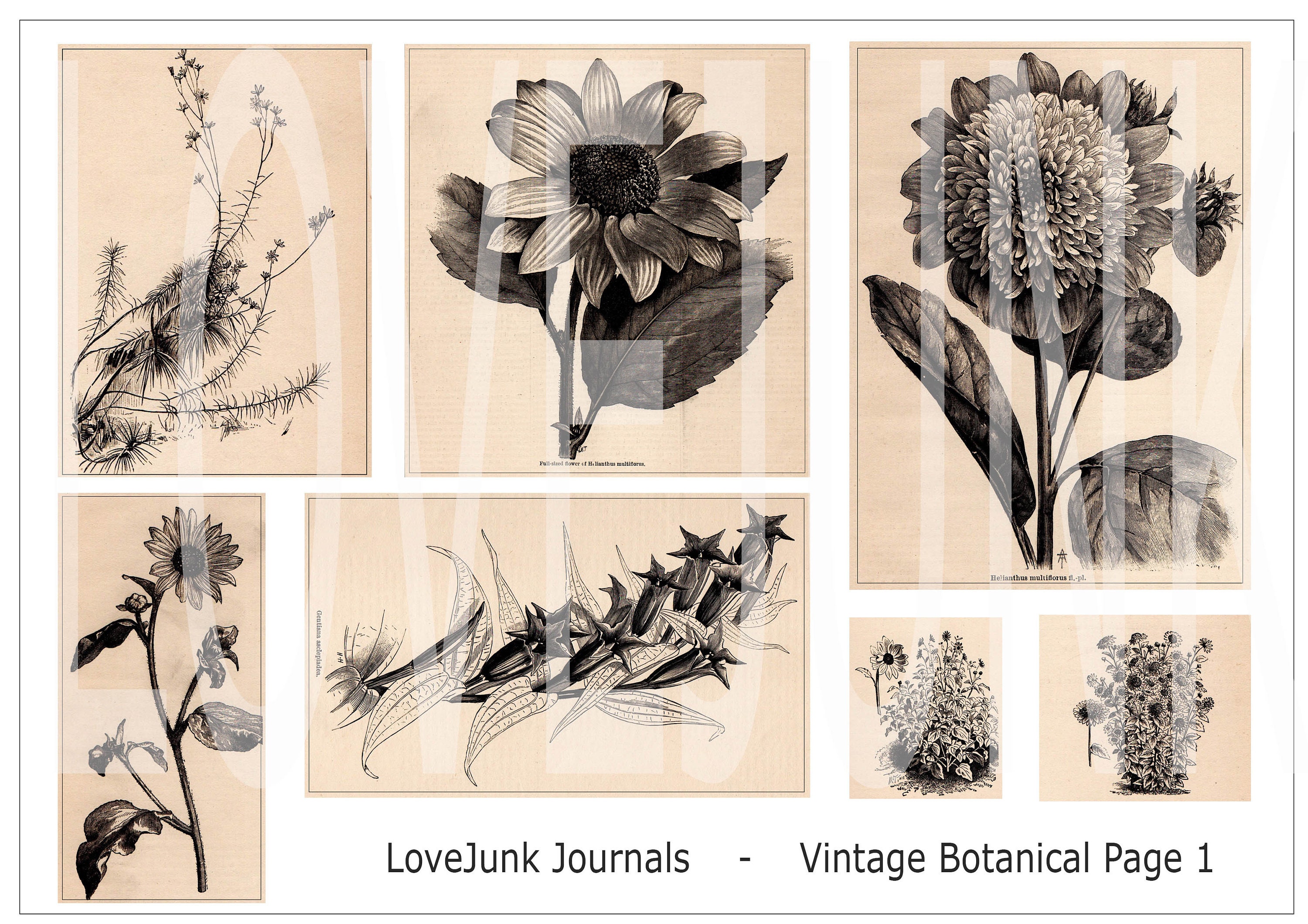 Vintage Digital Journal Kit. Vintage Botanicals Set 1. DIGI18 13