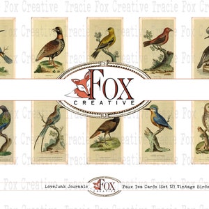 Vintage vogels theekaarten. Set kunsttheekaarten 12 DIGI19 60