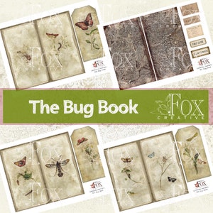 Puede incluir: Una colección de páginas de diario y etiquetas de estilo vintage con ilustraciones botánicas de insectos y mariposas. El texto "The Bug Book" se muestra en una pancarta verde, con el logotipo de Fox Creative.