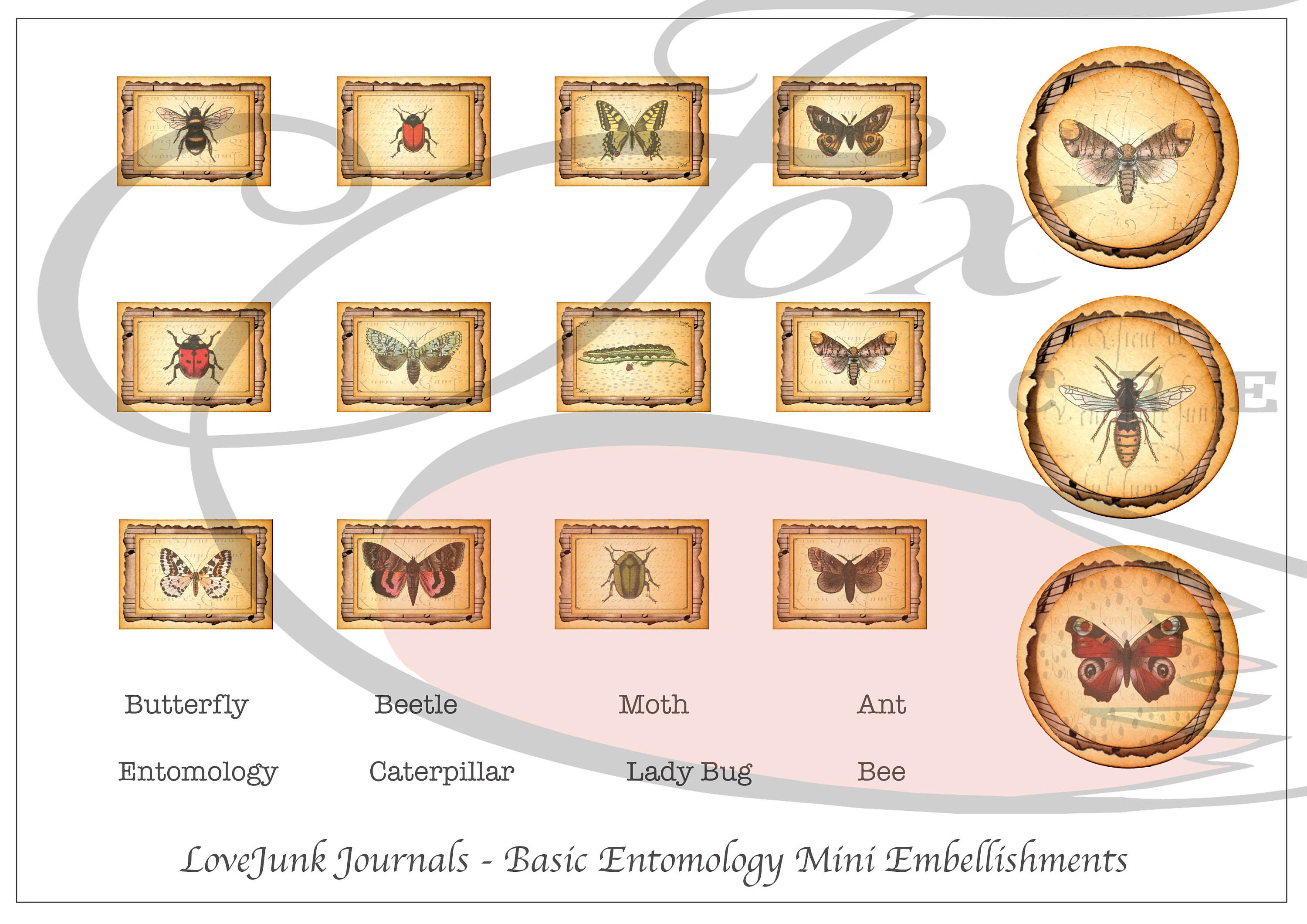 Journal Digital Embellishments Kit. Basic Entomology Mini's Set 1…