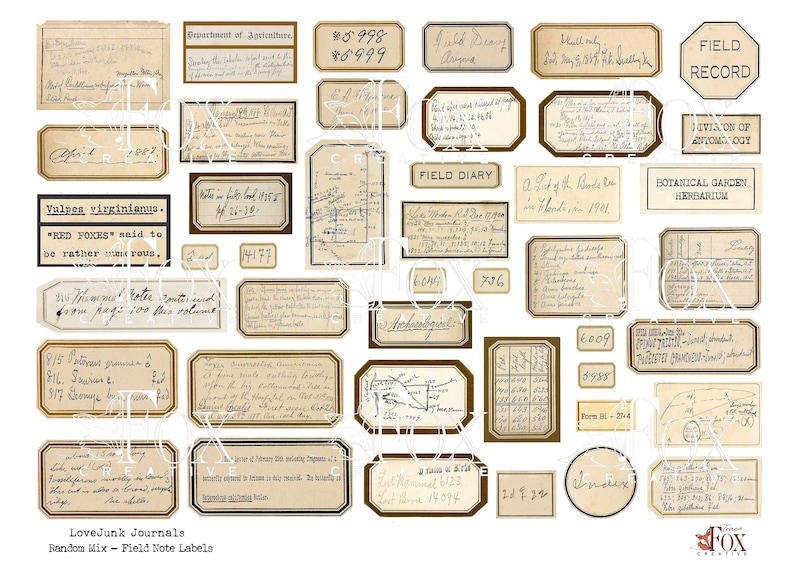 May include: A collection of vintage-style labels with handwritten text and illustrations. The labels are in various shapes and sizes, with a brown and cream color scheme. Some of the labels include text such as "Field Diary", "Botanical Garden Herbarium", and "Vulpes virginianus".