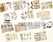 BUMPER BIRDS: Digital Ephemera and Fussy Cuts, For Journal Making and Scrapbooking, Printable Kit DIGI22 07
