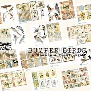 BUMPER BIRDS : éphémères numériques et coupes difficiles, pour la création de journaux intimes et le scrapbooking, kit imprimable DIGI22 07