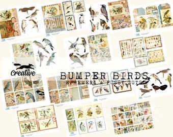 BUMPER BIRDS: Digital Ephemera and Fussy Cuts, For Journal Making and Scrapbooking, Printable Kit DIGI22 07