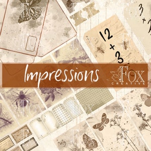 Puede incluir: Un paquete de papel digital con una estética vintage que presenta imágenes de mariposas, abejas y libélulas. El paquete incluye varias texturas, patrones y elementos, incluida una cuadrícula, una etiqueta con el texto "00093" y una etiqueta con el texto "12 + 3". El paquete se titula "Impressions" y es de Fox Creative.