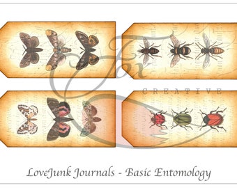 Insect Digital Ephemera Journal Kit. Basic Entomology Set 1. DIGI18 19