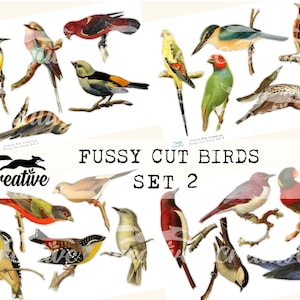 FUSSY CUT BIRDS Set 2, Kit digitale di taglio e adesivi, DIGI2 08