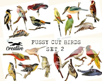 Fussy Cut Birds Set 2, kit numérique, DIGI2 08