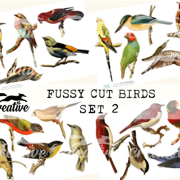 Fussy Cut Birds Set 2, Digital Kit, DIGI2 08