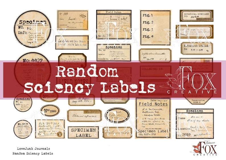 May include: A set of vintage-style science labels with text such as "Specimen", "Field Notes", and "Botanical Specimen". The labels are printed on aged paper with a distressed look and have a brown and black color scheme.