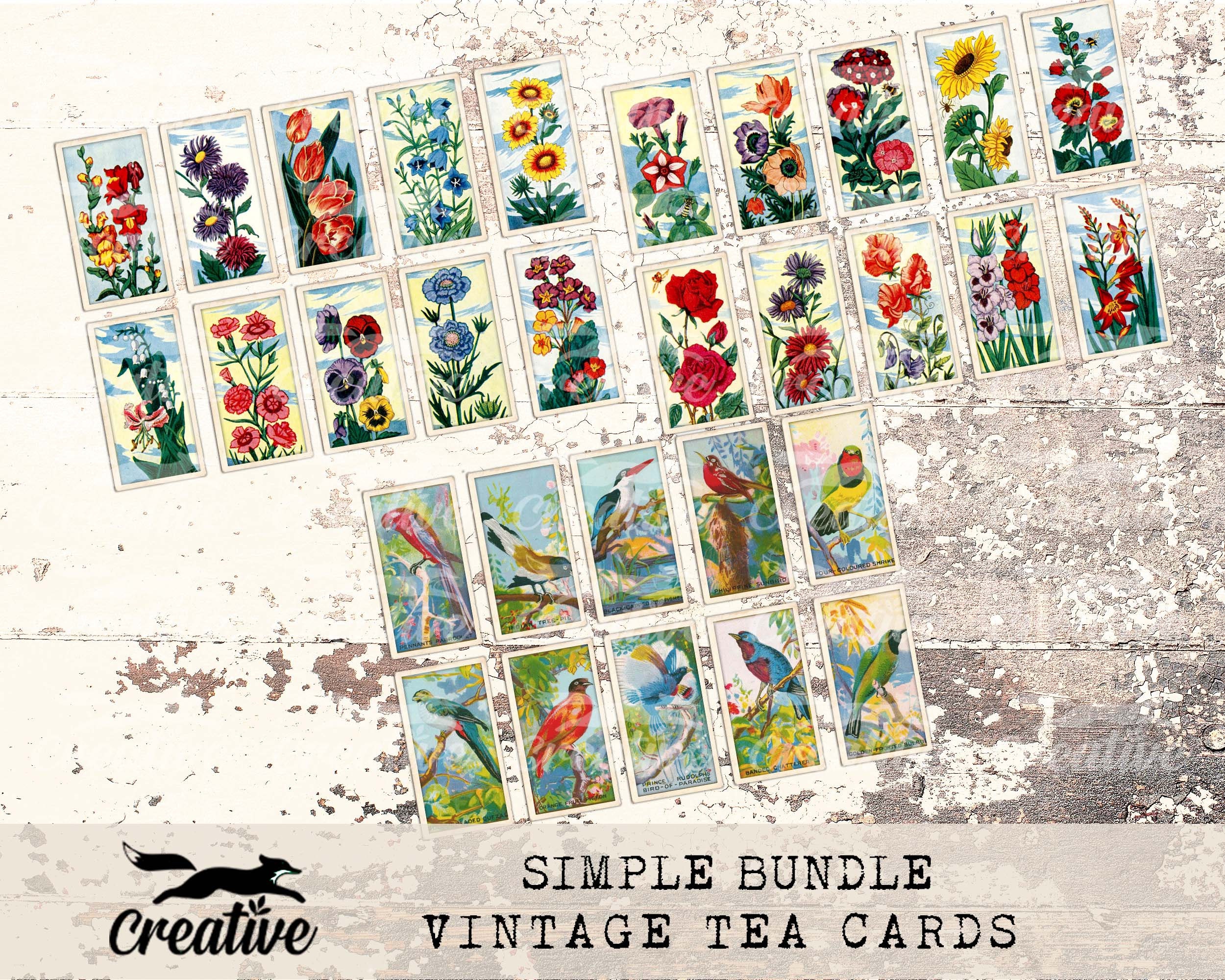 レジェンド&バタフライ　パンフレット2枚セット Butterfly Wings Folio Kit, Butterfly Digital Junk Journal