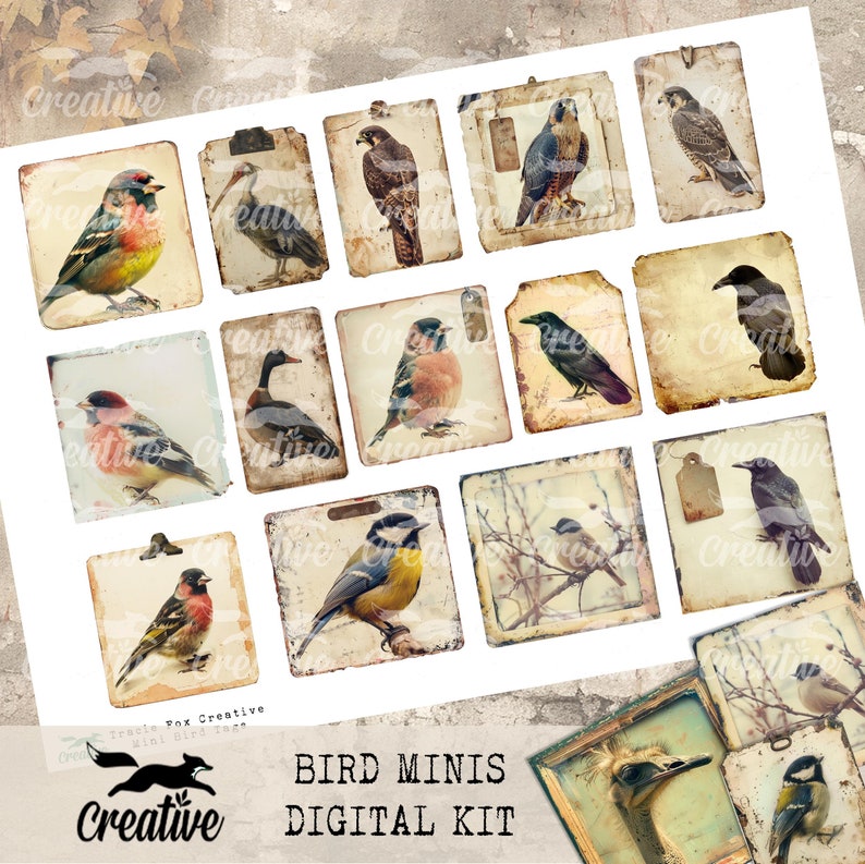 Bird Minis, Digital Bird Kit, DIGI24 15 Bird Ephemera/Tags image 4