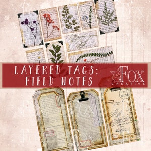 Może przedstawiać: Warstwowe etykiety w stylu vintage, z ręcznie pisanym tekstem i ilustracjami botanicznymi. Etykiety są oznaczone jako "Field Notes" i "Field Record".