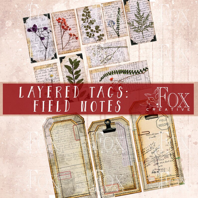Może przedstawiać: Warstwowe etykiety w stylu vintage, z ręcznie pisanym tekstem i ilustracjami botanicznymi. Etykiety są oznaczone jako "Field Notes" i "Field Record".