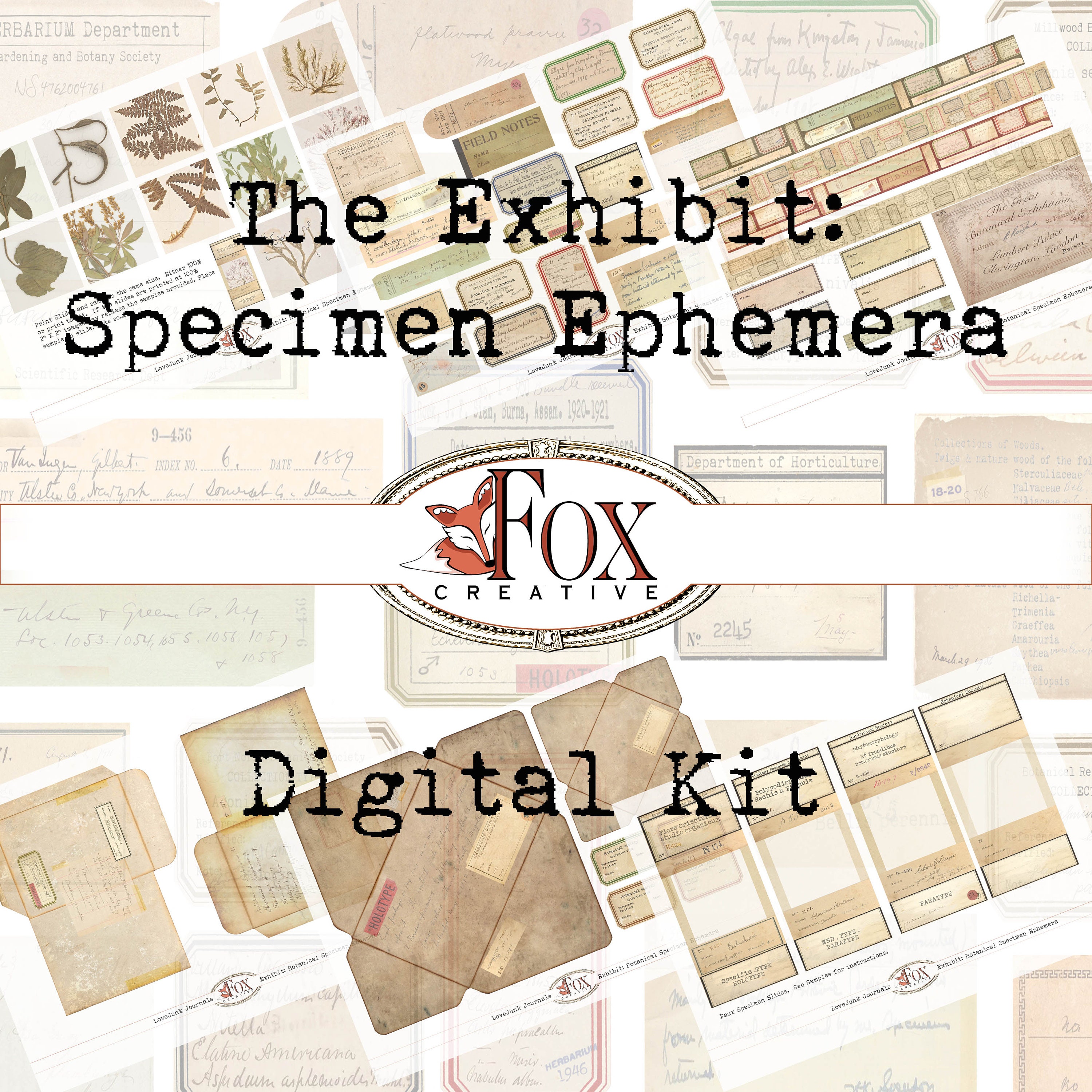 Exhibit: Botanical Specimen Ephemera Digital Kit DIGI19 96