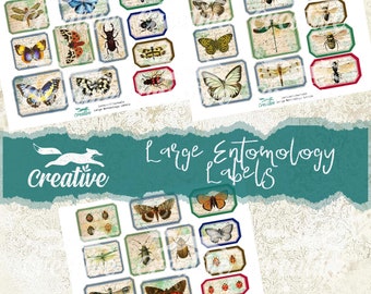 Grandes étiquettes d'entomologie, kit d'étiquettes numériques DIGI21 35