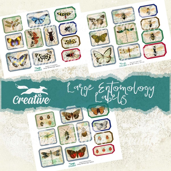 Large Entomology Labels, Digital Label Kit DIGI21 35