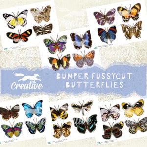 Paraurti FUSSY CUT/Adesivi Farfalle, Kit Digitale, DIGI21 43