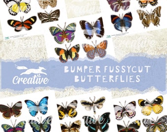 Bumper Fussy Cut Butterflies, Digital Kit, DIGI21 43