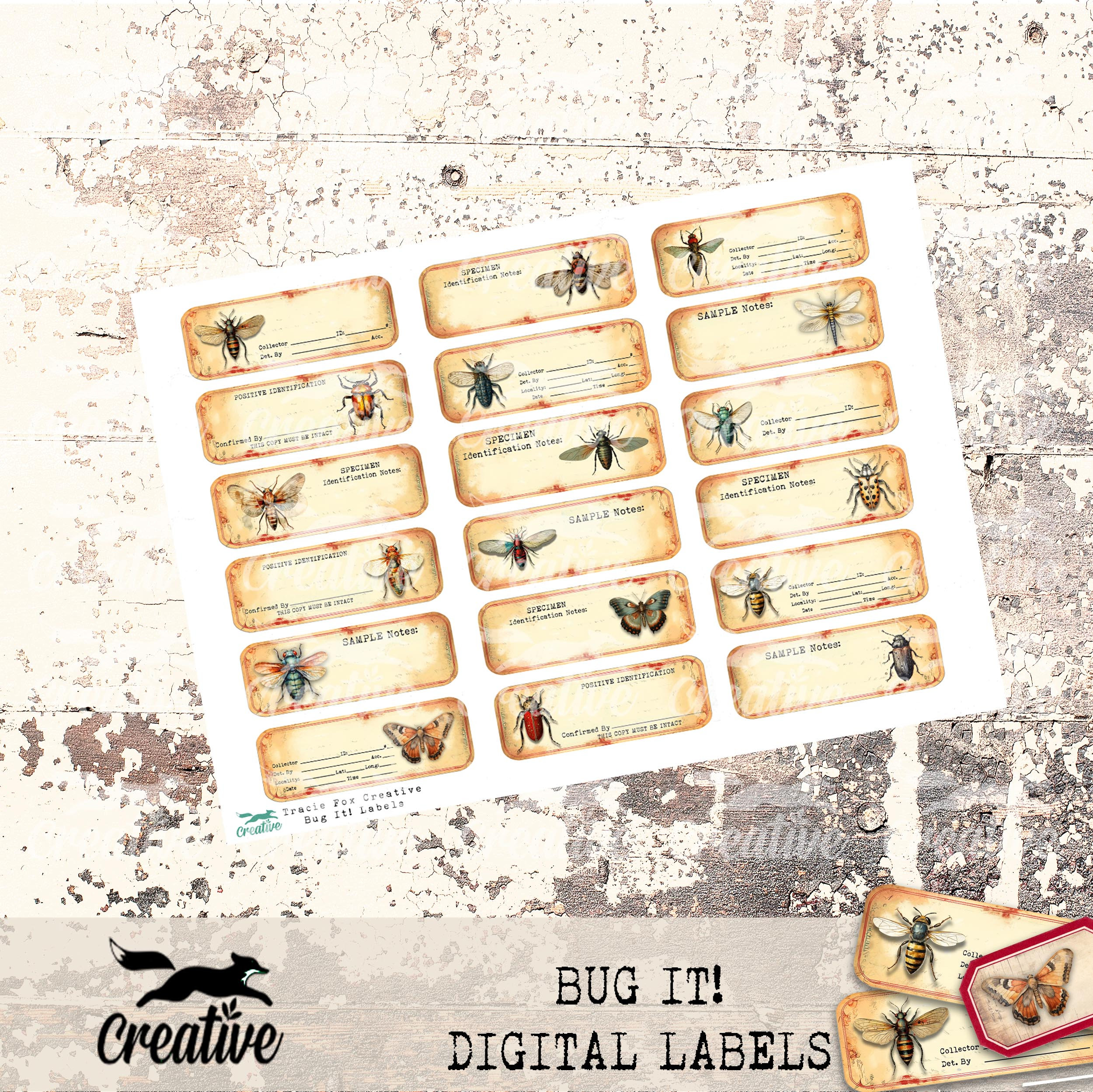 BUG IT! Digital Labels, Printable Entomology Journal/scrapbooking Kit ...