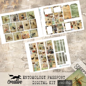 Passeports d'entomologie, kit d'éphémères numériques, kit de journal, DIGI24 14 image 3