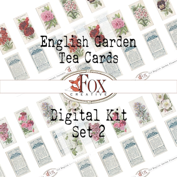 English Garden Flower Tea Cards/cigarette Cards Set 2. Digital Kit: Cards  26-50 DIGI19 25