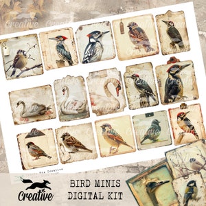 Bird Minis, Digital Bird Kit, DIGI24 15 Bird Ephemera/Tags image 3