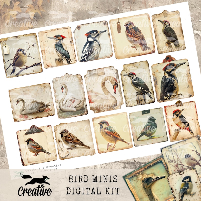 Bird Minis, Digital Bird Kit, DIGI24 15 Bird Ephemera/Tags image 3