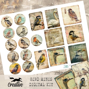 Bird Minis, Digital Bird Kit, DIGI24 15 Bird Ephemera/Tags image 2