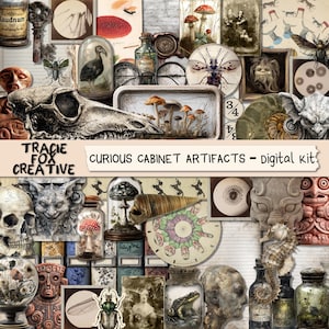 Op de afbeelding: Een digitale kit getiteld "Curious Cabinet Artifacts" met een collage van vintage illustraties en objecten. Bevat een schedel, paddenstoelen, een zeepaardje, een glazen stolp met een vogel en diverse antieke flessen.