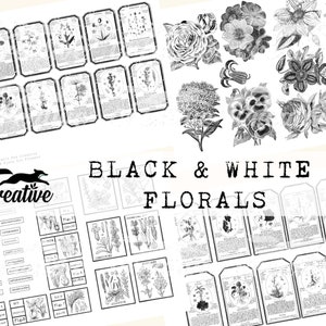 May include: Black and white floral illustrations in a digital collage. The images include various flowers, leaves, and botanical details. The text "BLACK & WHITE FLORALS" is displayed in a vintage font.