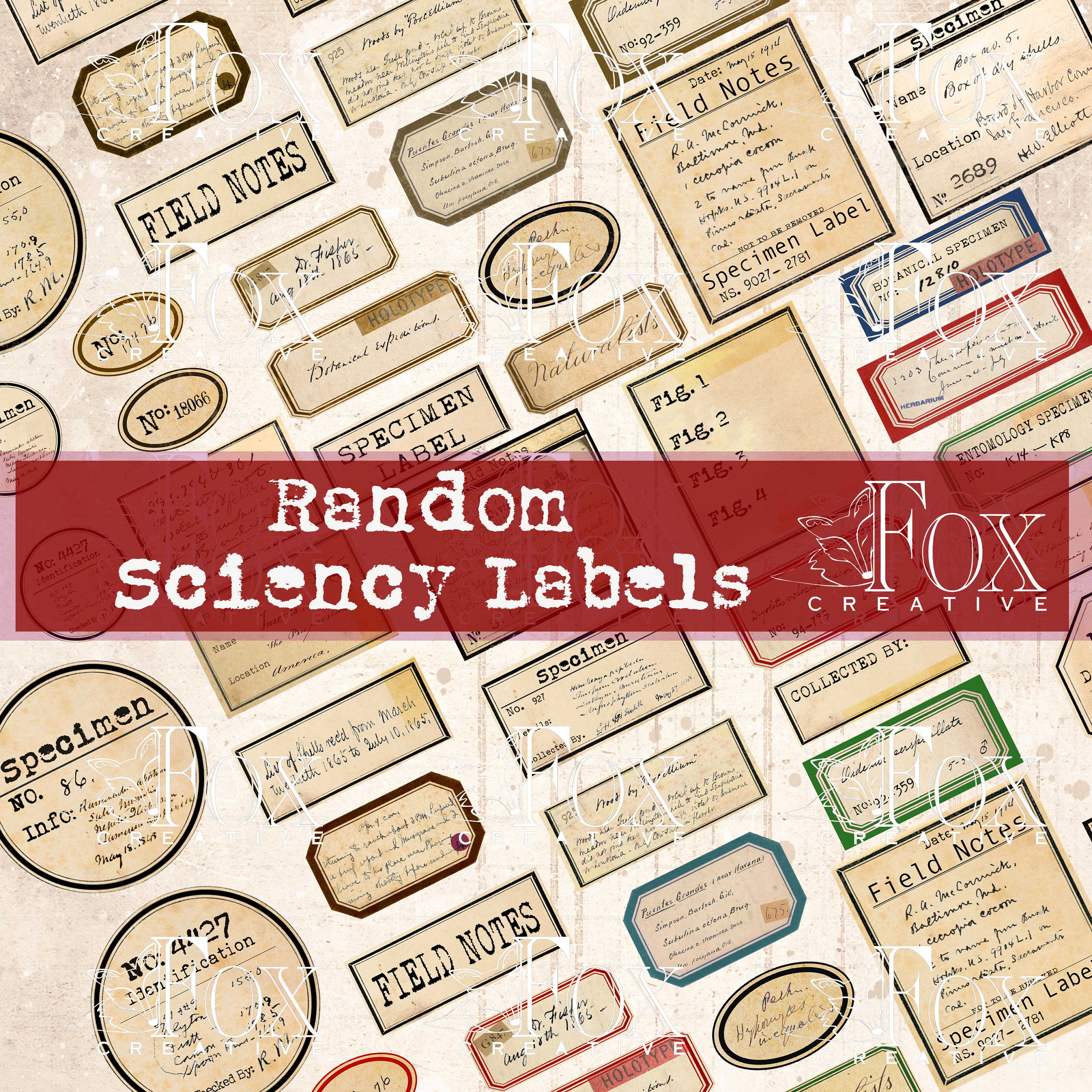 Random Sciency Digital Labels DIGI20 29: Specimen, identification, la…