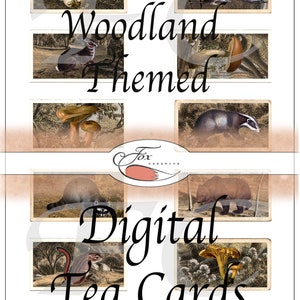 Cartões de Chá Digitais Woodland. Cartões de Chá Falsos. Conjunto de 6 DIGI18 56