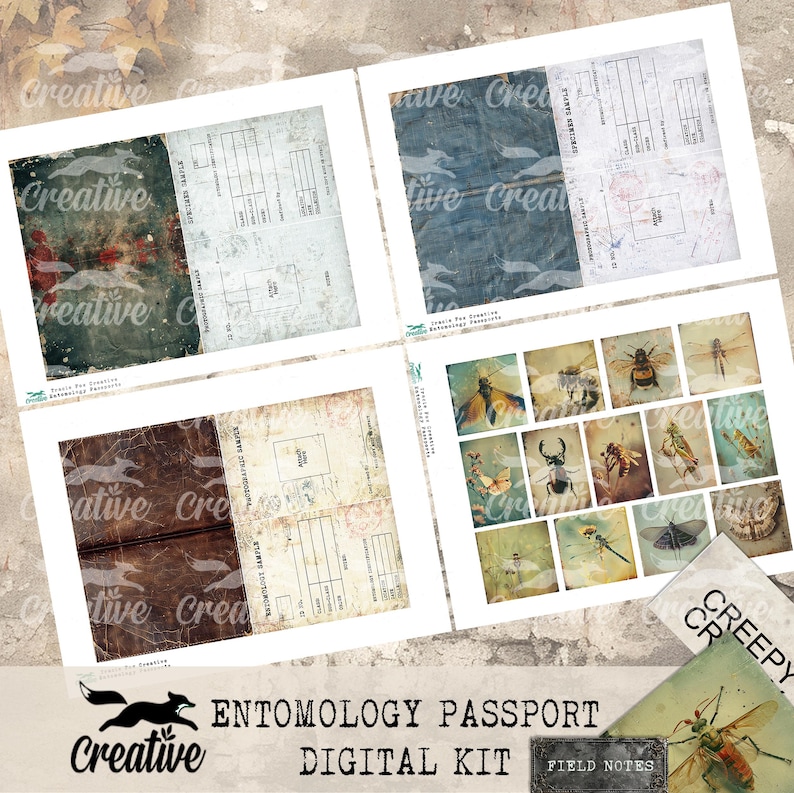 Passeports d'entomologie, kit d'éphémères numériques, kit de journal, DIGI24 14 image 4