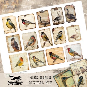 Bird Minis, Digital Bird Kit, DIGI24 15 Bird Ephemera/Tags image 5