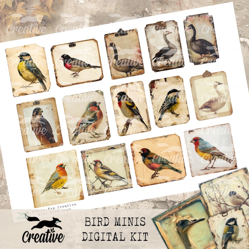 Bird Minis, Digital Bird Kit, DIGI24 15 Bird Ephemera/Tags image 5