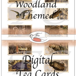 Cartões de chá digitais Woodland. Cartões de chá falsos. Conjunto 7 DIGI18 45