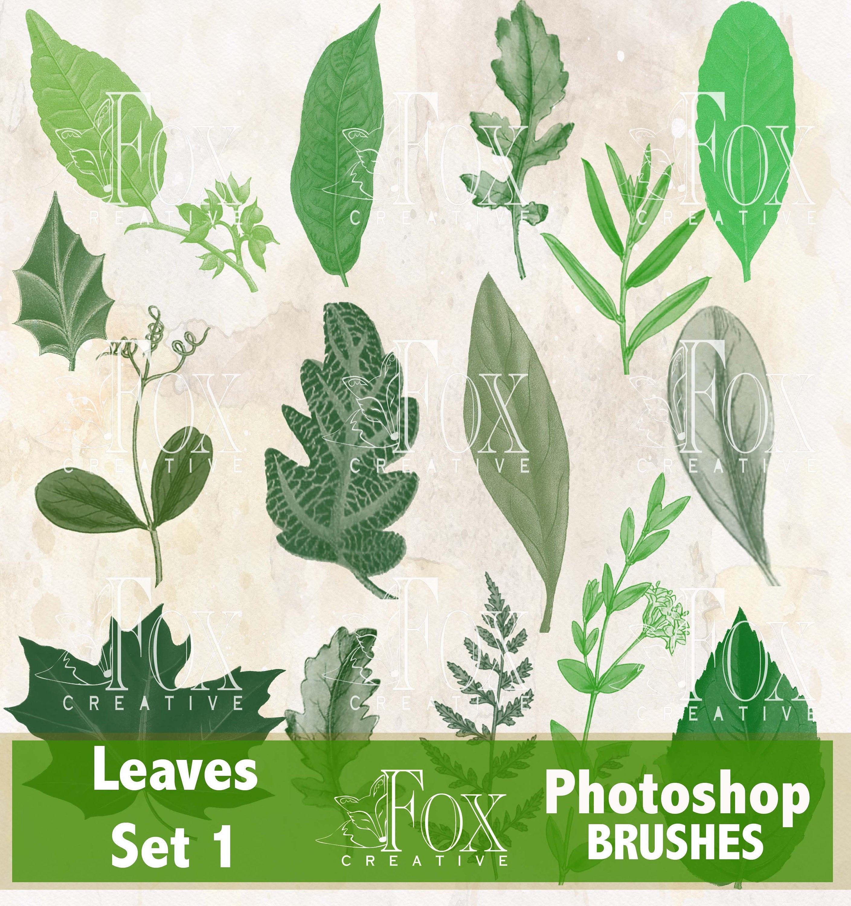 Leaves Brush Set ABR Files Brush Tools ABR20 01 Etsy UK