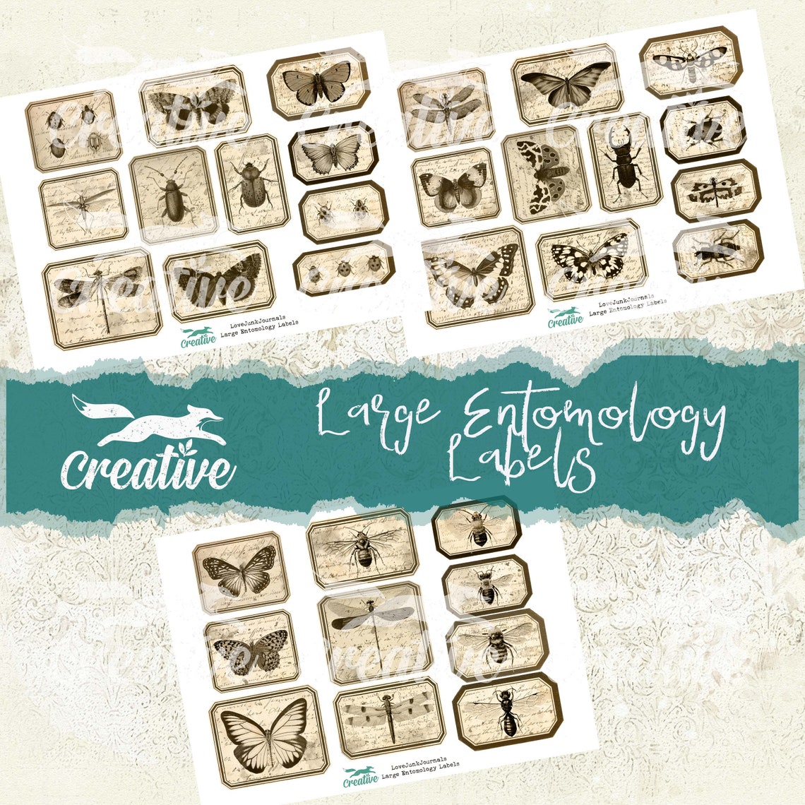 Large Entomology Labels Digital Label Kit DIGI21 35 Etsy