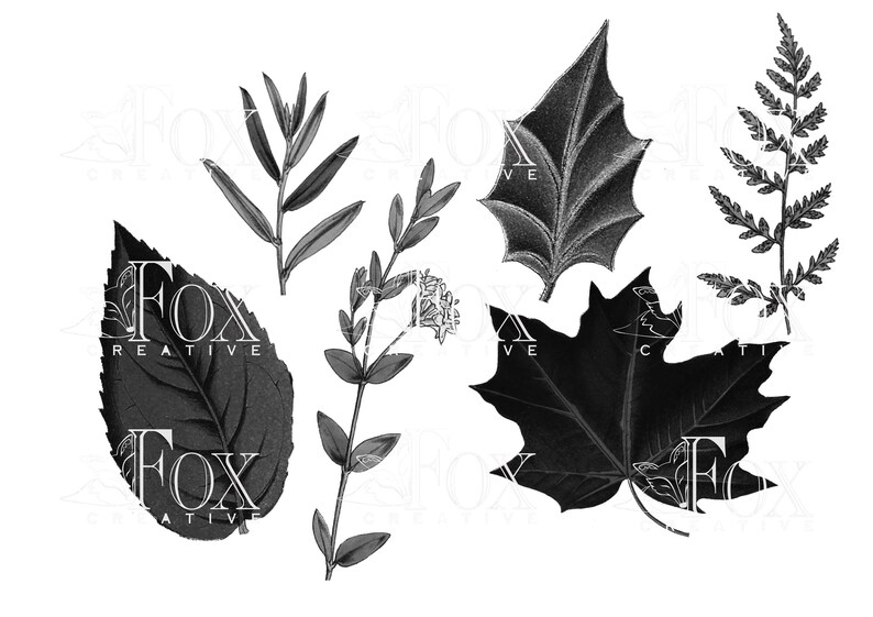 Leaves Brush Set ABR Files Brush Tools ABR20 01 Etsy